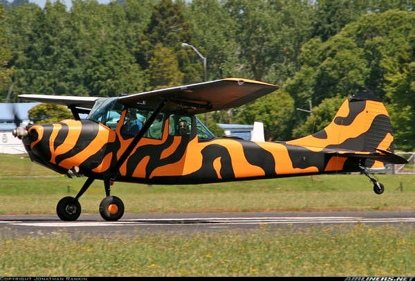 55277 B / 600 x 406 / C19.jpg