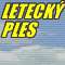 1466 B / 60 x 60 / letecky_ples_60.gif