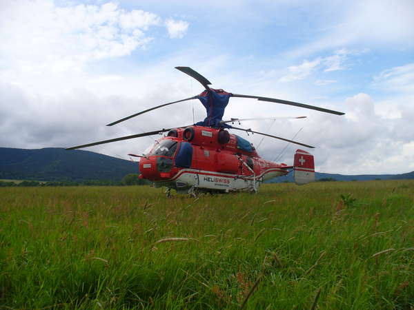 29789 B / 600 x 450 / ka32.JPG