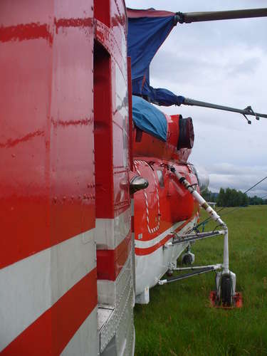 22043 B / 375 x 500 / ka32 (5).JPG