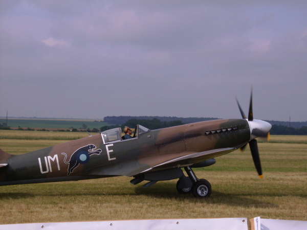 17912 B / 600 x 450 / IMG_0009.JPG