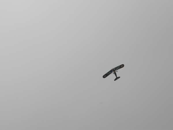 2890 B / 600 x 450 / P7260029.JPG