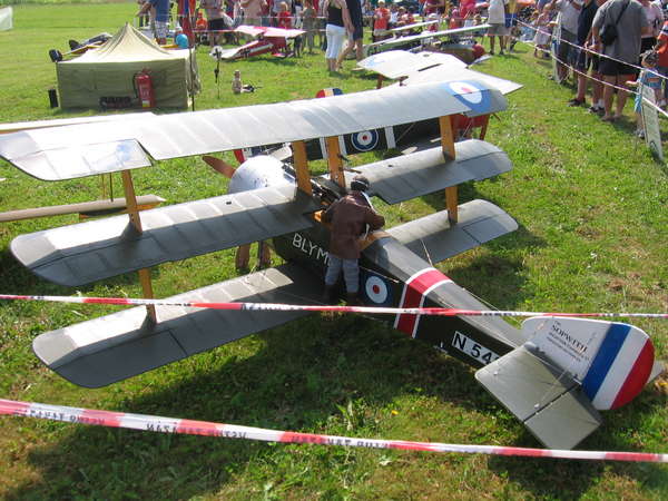 54709 B / 600 x 450 / IMG_3654.JPG