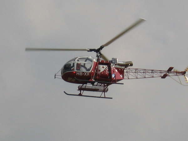 11512 B / 600 x 450 / IMG_1471.JPG