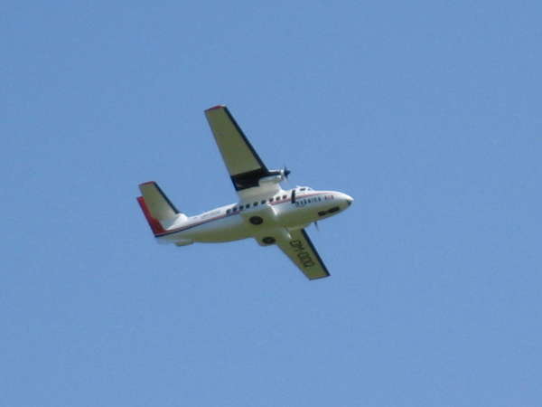 7256 B / 600 x 450 / IMG_1699.JPG