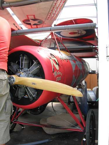 27561 B / 375 x 500 / IMG_1722.JPG