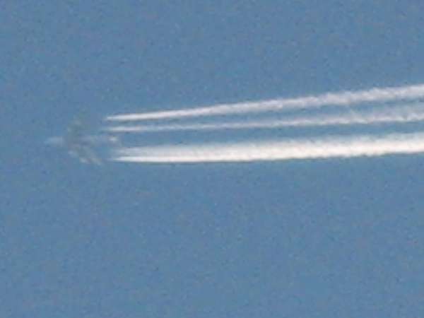 10094 B / 600 x 450 / Img_4111.jpg