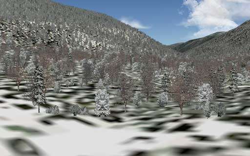 26508 B / 512 x 320 / MtnTREESA.jpg