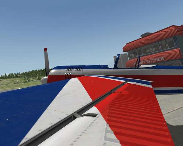 21856 B / 600 x 480 / wing_detail.jpg