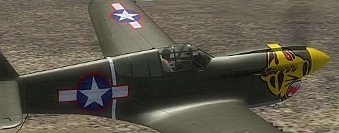 14029 B / 495 x 195 / p40.jpg