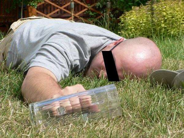 58220 B / 600 x 450 / Semiannual_simbeer.JPG