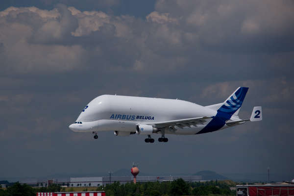 14976 B / 600 x 400 / DSC05950.jpg