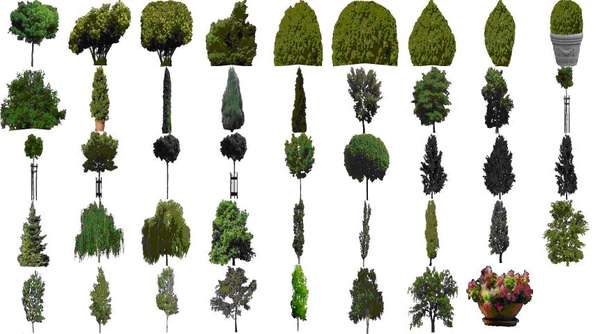 30137 B / 600 x 334 / stromy.bmp