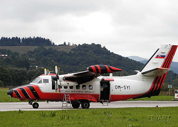 43174 B / 600 x 428 / L 410 OM-SYI.jpg