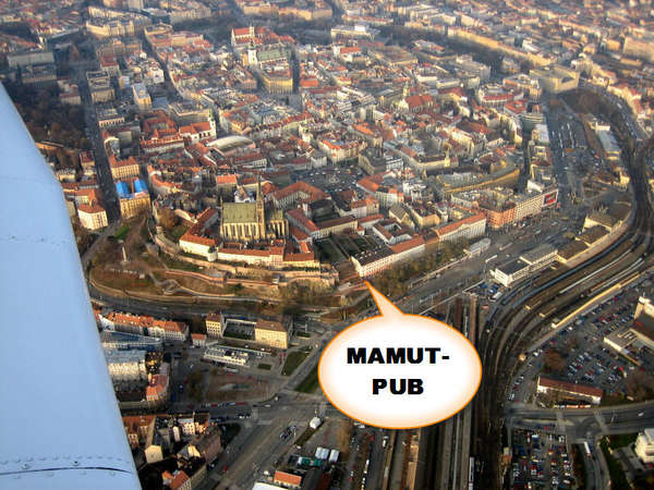 68133 B / 600 x 450 / mamut_pub.jpg