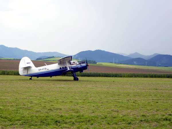 26221 B / 600 x 450 / An2 OM-PYB.jpg