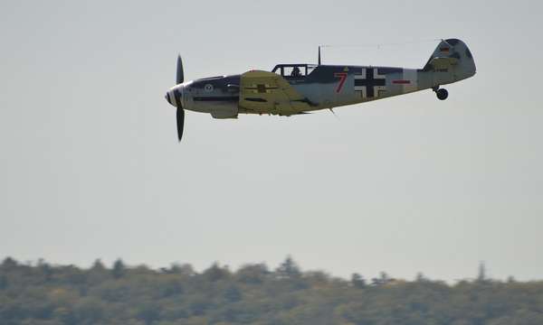 8391 B / 600 x 360 / DSC_0737.jpg