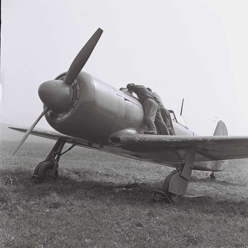 24619 B / 500 x 500 / C-11 kontrola.jpg