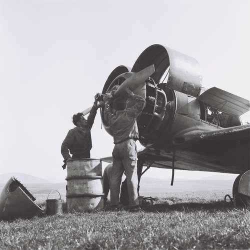 26001 B / 500 x 500 / C 11.jpg