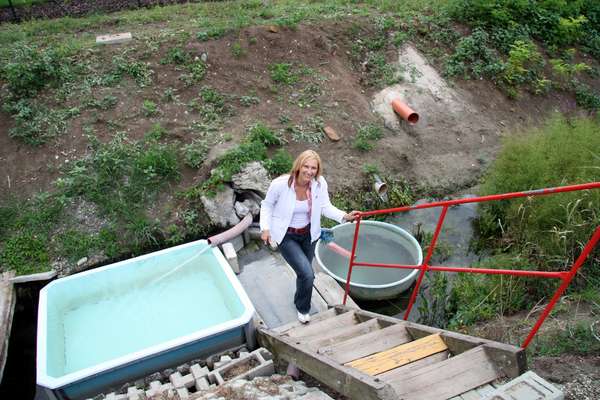 46199 B / 600 x 400 / IMG_7394.JPG