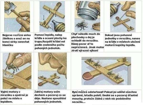 55675 B / 600 x 440 / Clanek_z_ruskeho_ABC.JPG