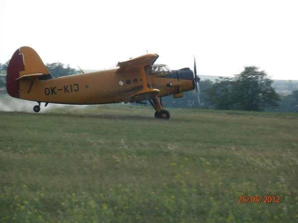 16681 B / 600 x 450 / 03.jpg