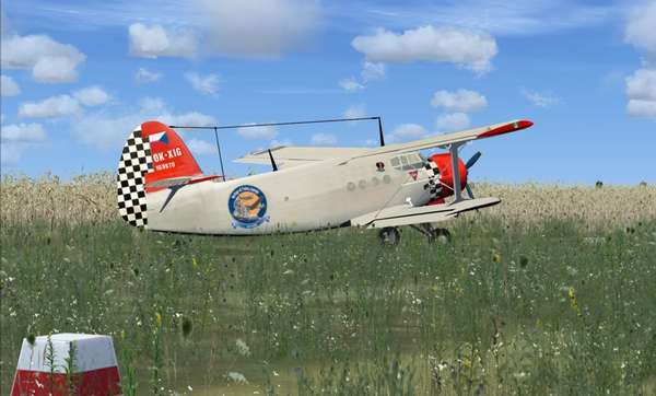 27574 B / 600 x 362 / Na poli.jpg