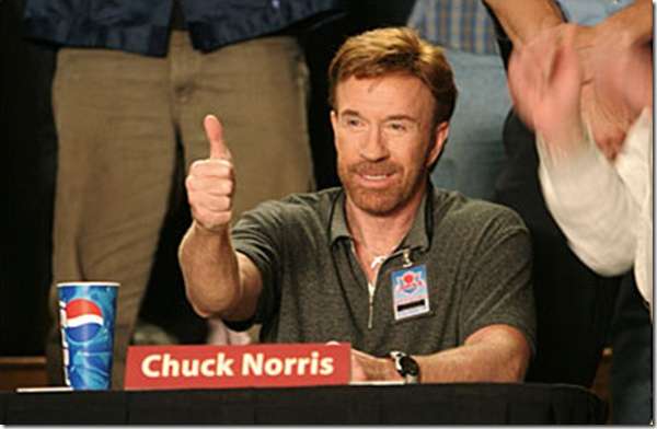 23737 B / 600 x 392 / chuck-norris-3dcart.jpeg