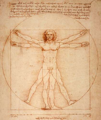 25806 B / 420 x 500 / Vitruvian_Man_by_Leonardo_Da_Vinci_small.png