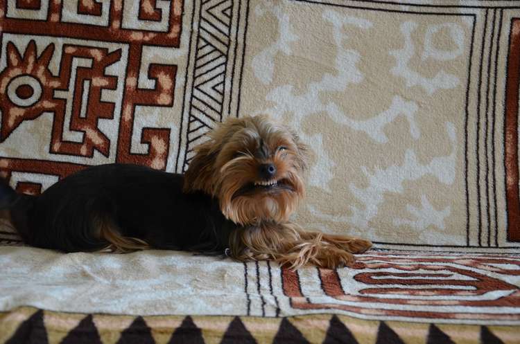 55127 B / 750 x 497 / DSC_3756.JPG