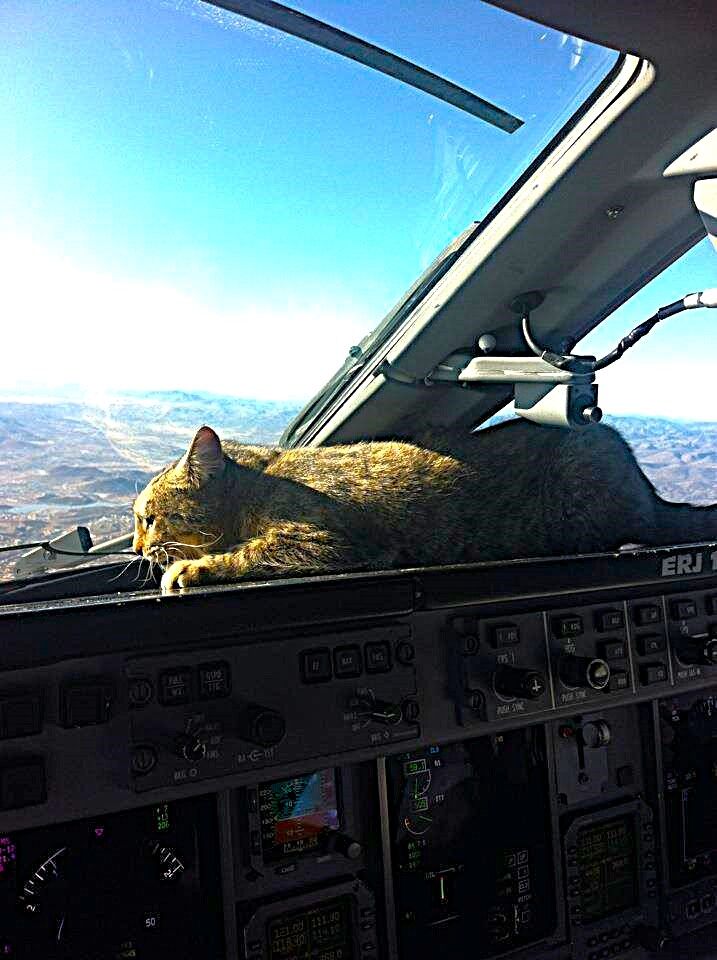 92784 B / 717 x 960 / Majka.jpg