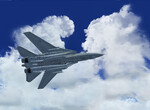 Dino Cattaneo F-14 Tomcat Dino Cattaneo F-14 Tomcat