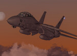 F-14 Tomcat F-14 Tomcat