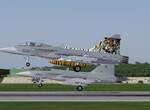2x Jas-39C Gripen