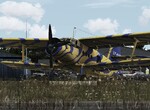 AN2_Blue Tiger AN2_Blue Tiger