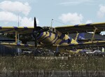 AN2_Blue Tiger