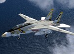 F-14 Tomcat F-14 Tomcat