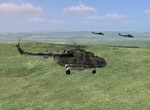 escort escort