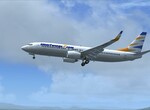 737 737