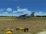 L410 L410