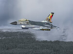 Falcon Falcon