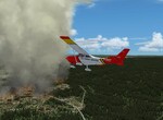 Fire patrol