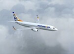 B 737-800NGX B 737-800NGX