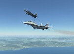 MiG-29UB Fulcrum B 9.51 and L-39C Albatros