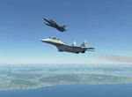 MiG-29UB Fulcrum B 9.51 and L-39C Albatros MiG-29UB Fulcrum B 9.51 and L-39C Albatros