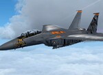 F15