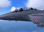 F15