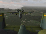 Warthogs Warthogs