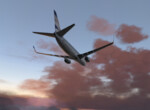 SW 737-800 SW 737-800