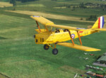 Tiger Moth 